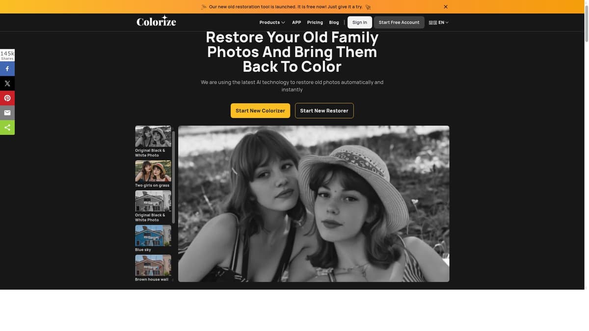 Imagecolorizer